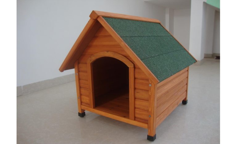 Dog house 1774x1079
